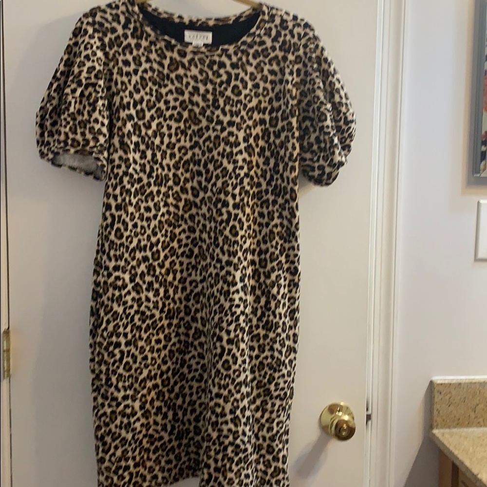 Anthropologie Leopard Dress by Graham & Spencer
